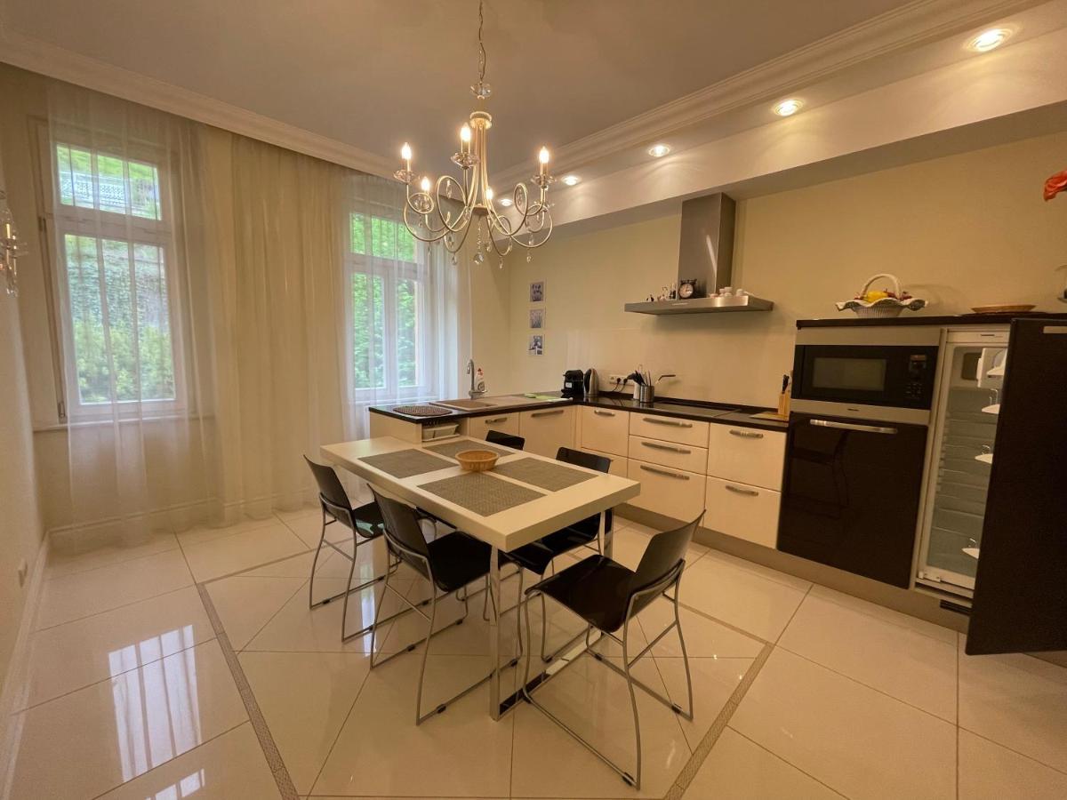 Apartma Premium Karlovy Vary Extérieur photo
